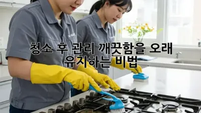 청소 후 관리: 깨끗함을 오래 유지하는 비법