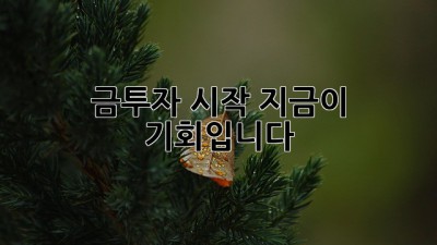 금투자 시작, 지금이 기회입니다!