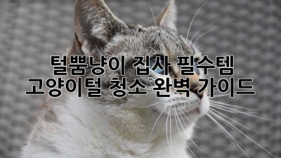 🐈💨 털뿜냥이 집사 필수템! 고양이털 청소🧹 완벽 가이드